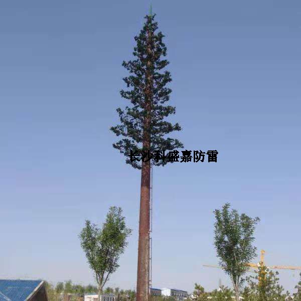 這是什么？看到圖先猜猜再進(jìn)來，猜對了的都是公雞中的戰(zhàn)斗機(jī)